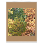 01656a12-26f9-413f-9dcf-8ad7a121af98