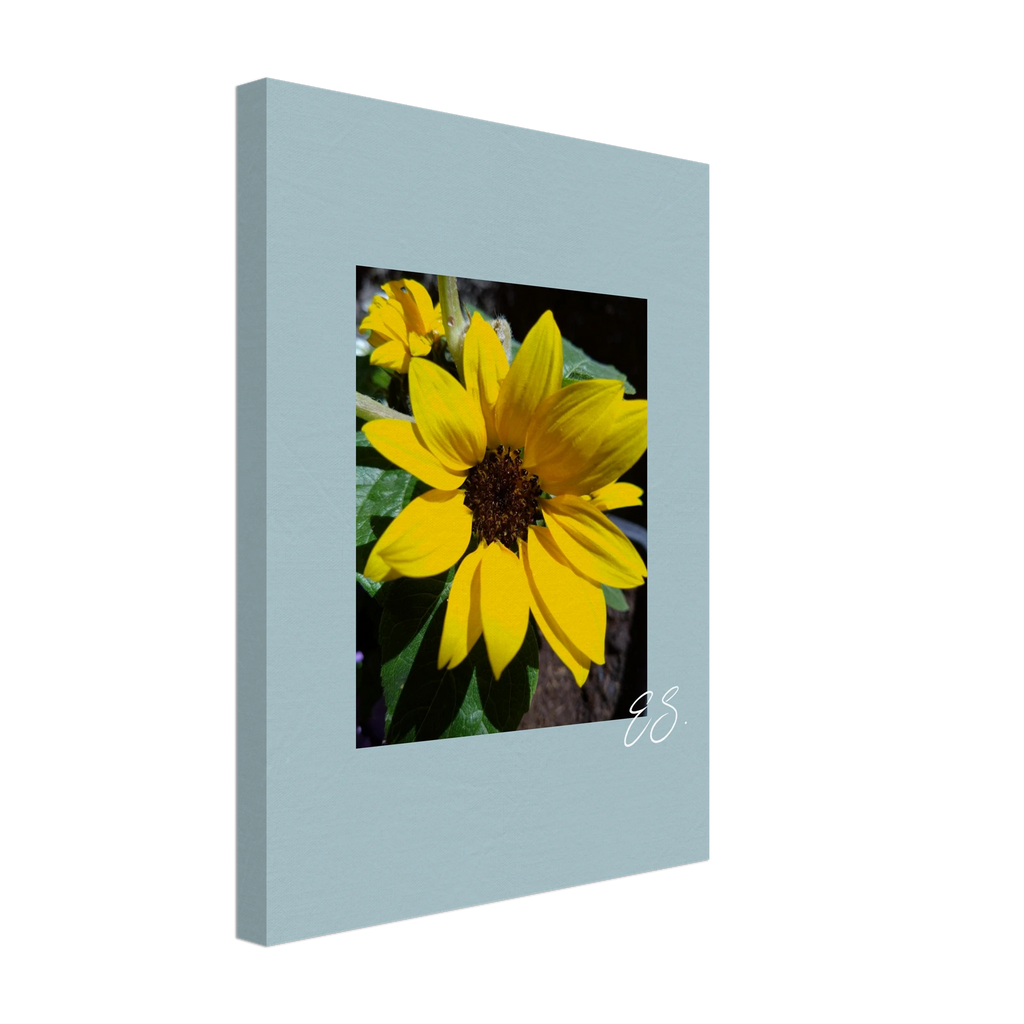 01f26800-c8e6-4d26-a778-395e1ca616e1