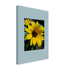 01f26800-c8e6-4d26-a778-395e1ca616e1