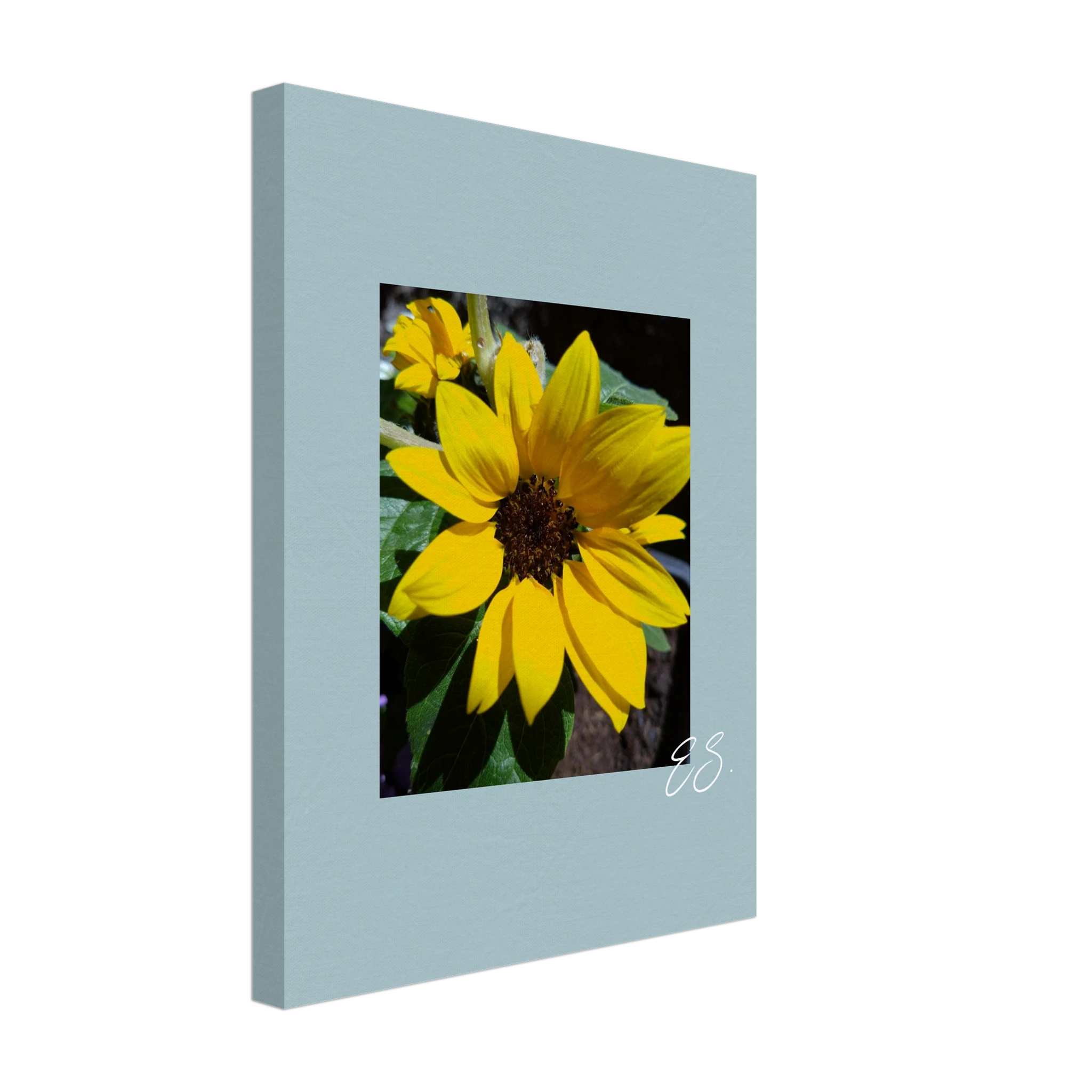 01f26800-c8e6-4d26-a778-395e1ca616e1