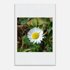 1e70a9ac-281a-4951-907d-daf9360d2dd2