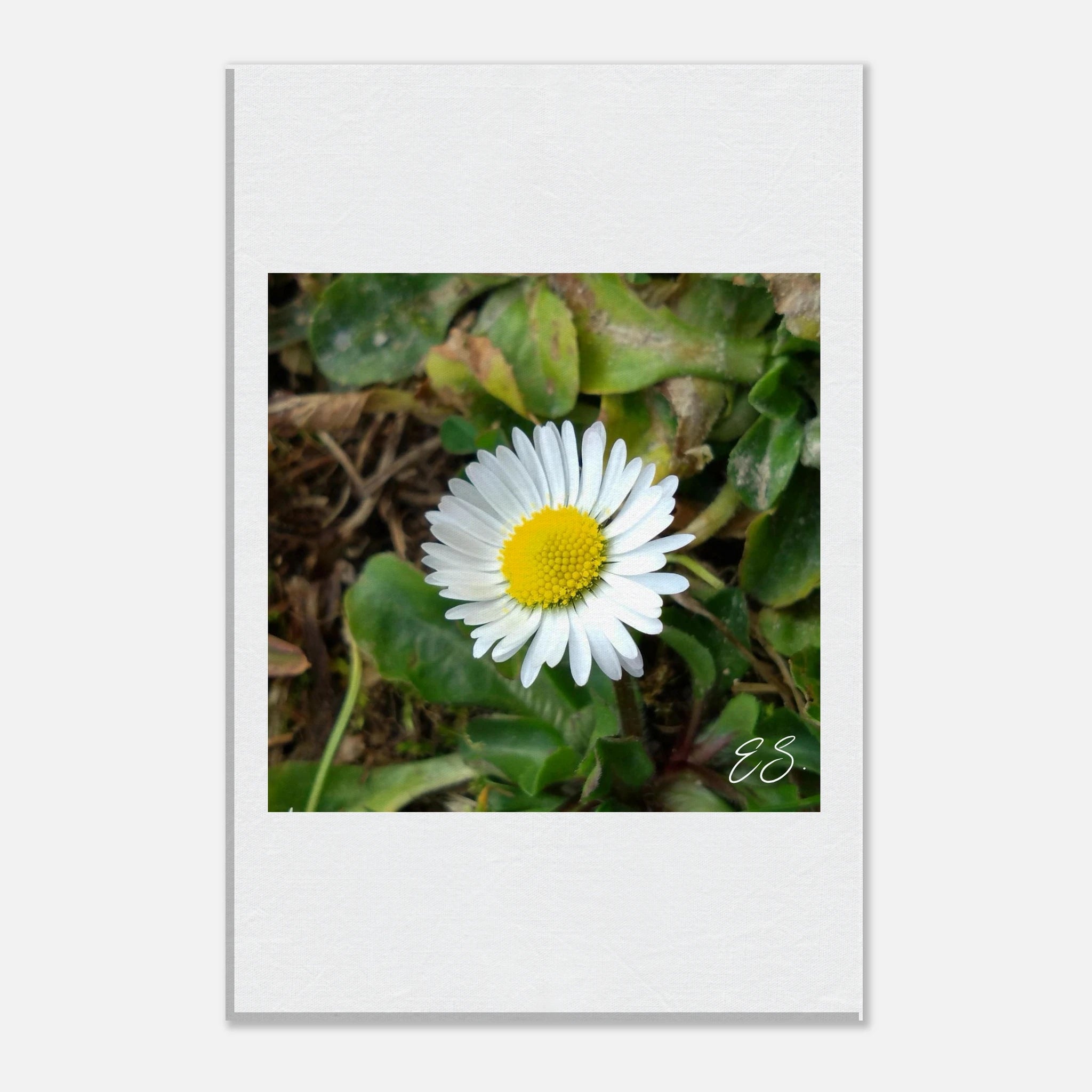 1e70a9ac-281a-4951-907d-daf9360d2dd2