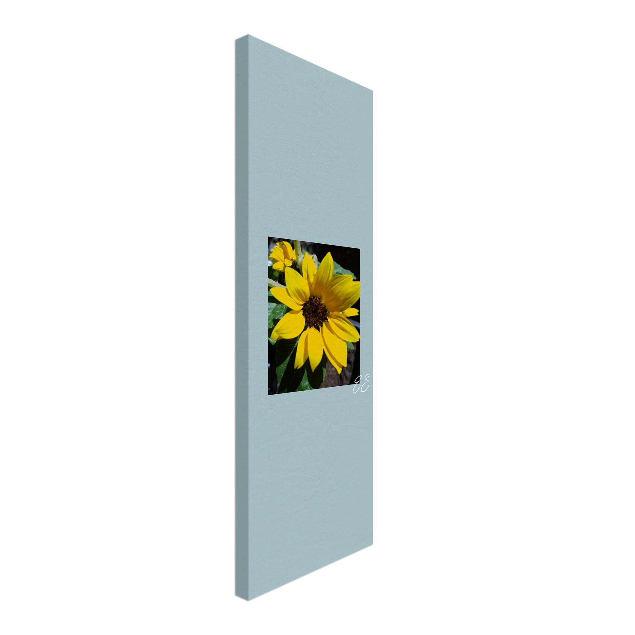 26648d1f-a96f-4371-99b6-0443c0079579