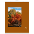 426b5c96-7a87-47ba-a57e-cc1874ee747a