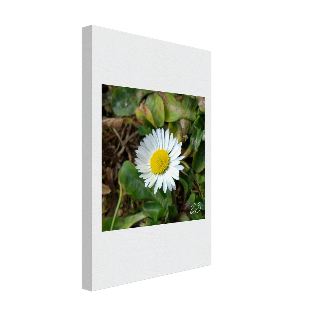 537f5754-c5f1-43f6-a2b9-ed57fd891ce8