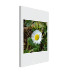 537f5754-c5f1-43f6-a2b9-ed57fd891ce8