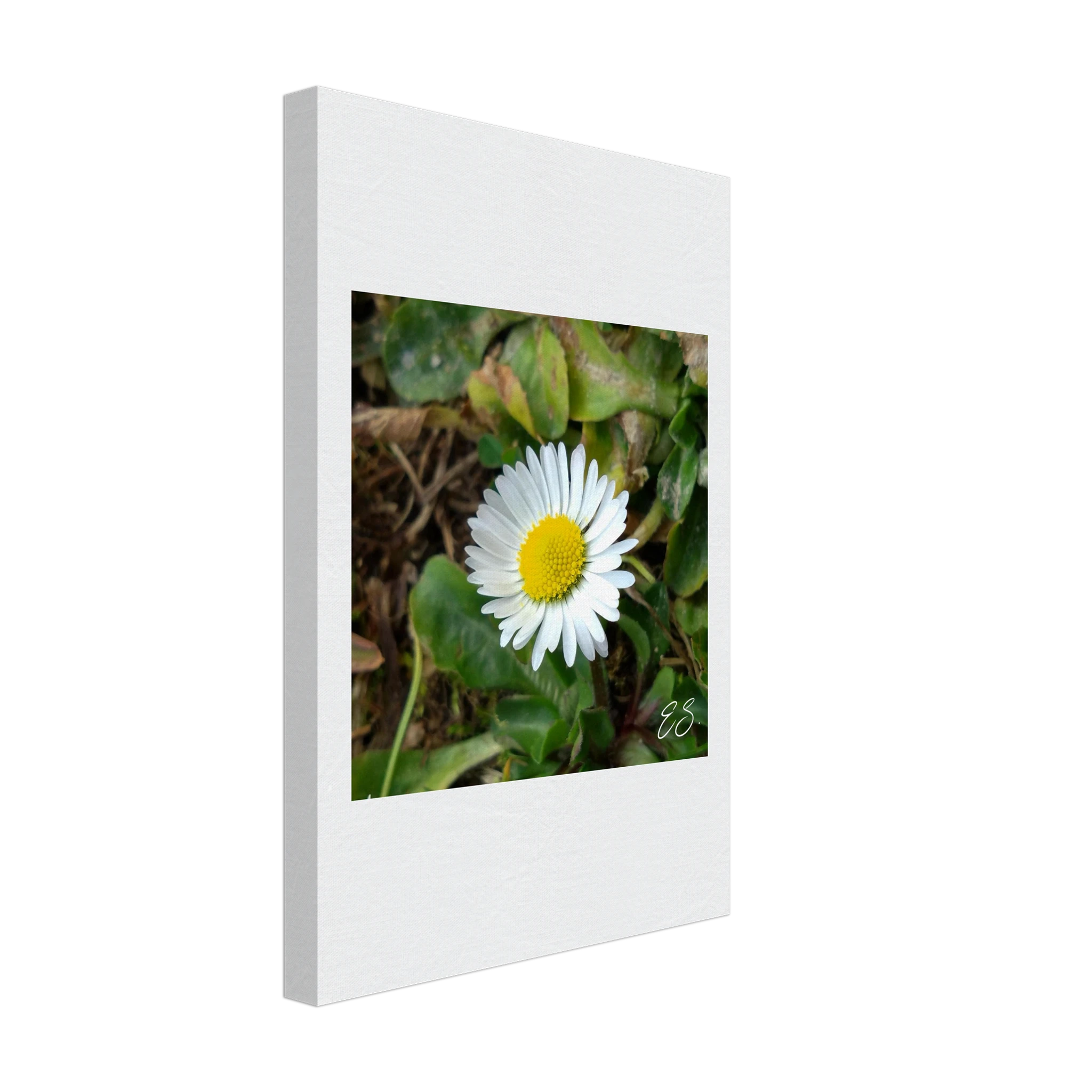 537f5754-c5f1-43f6-a2b9-ed57fd891ce8