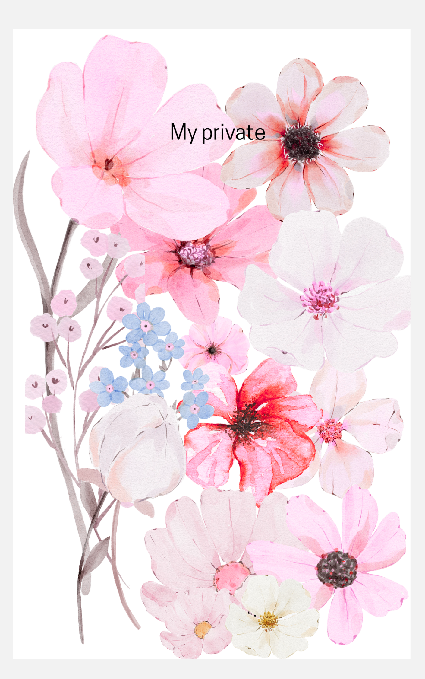My Private rosa