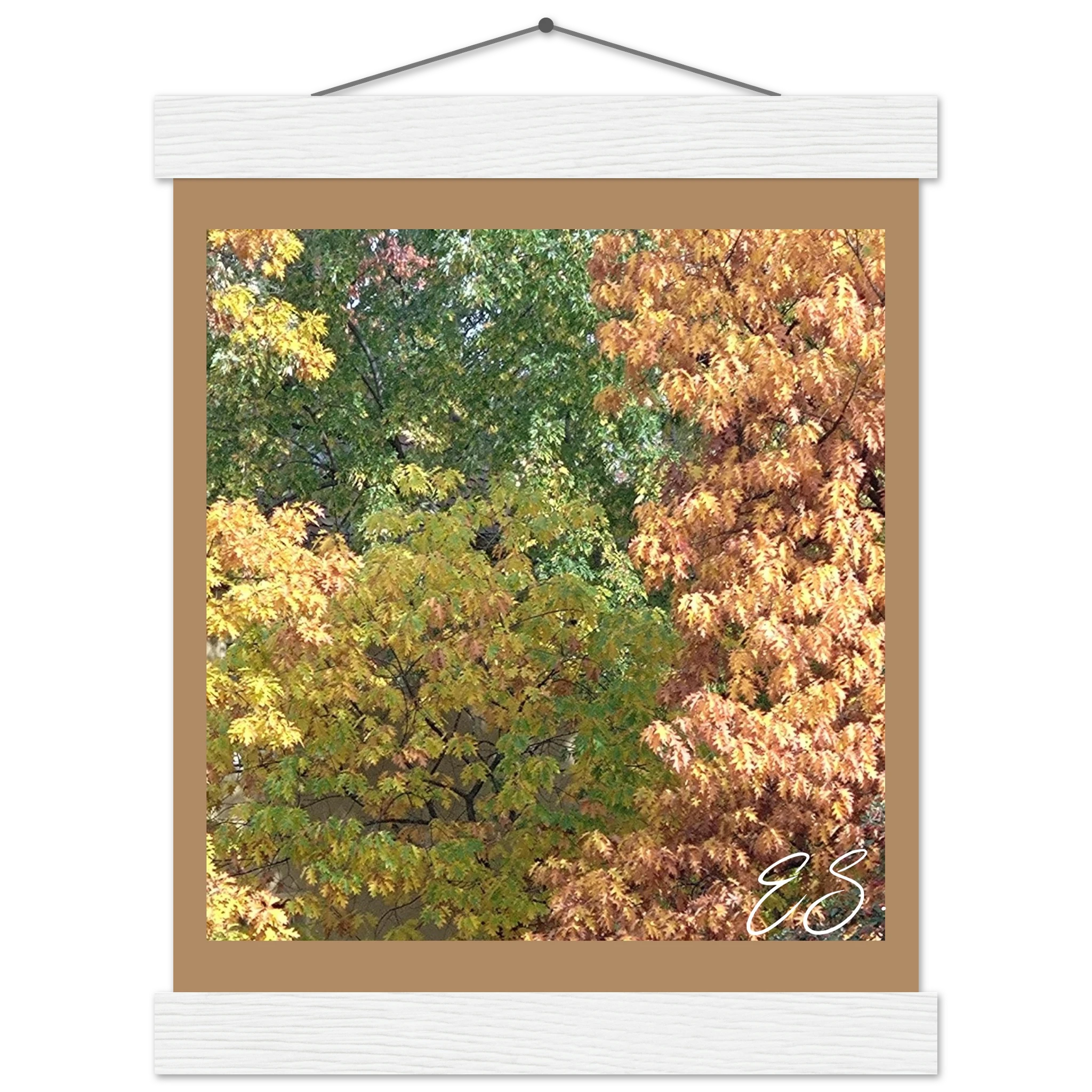 653a0231-8a86-4332-98c5-defae62cfa36