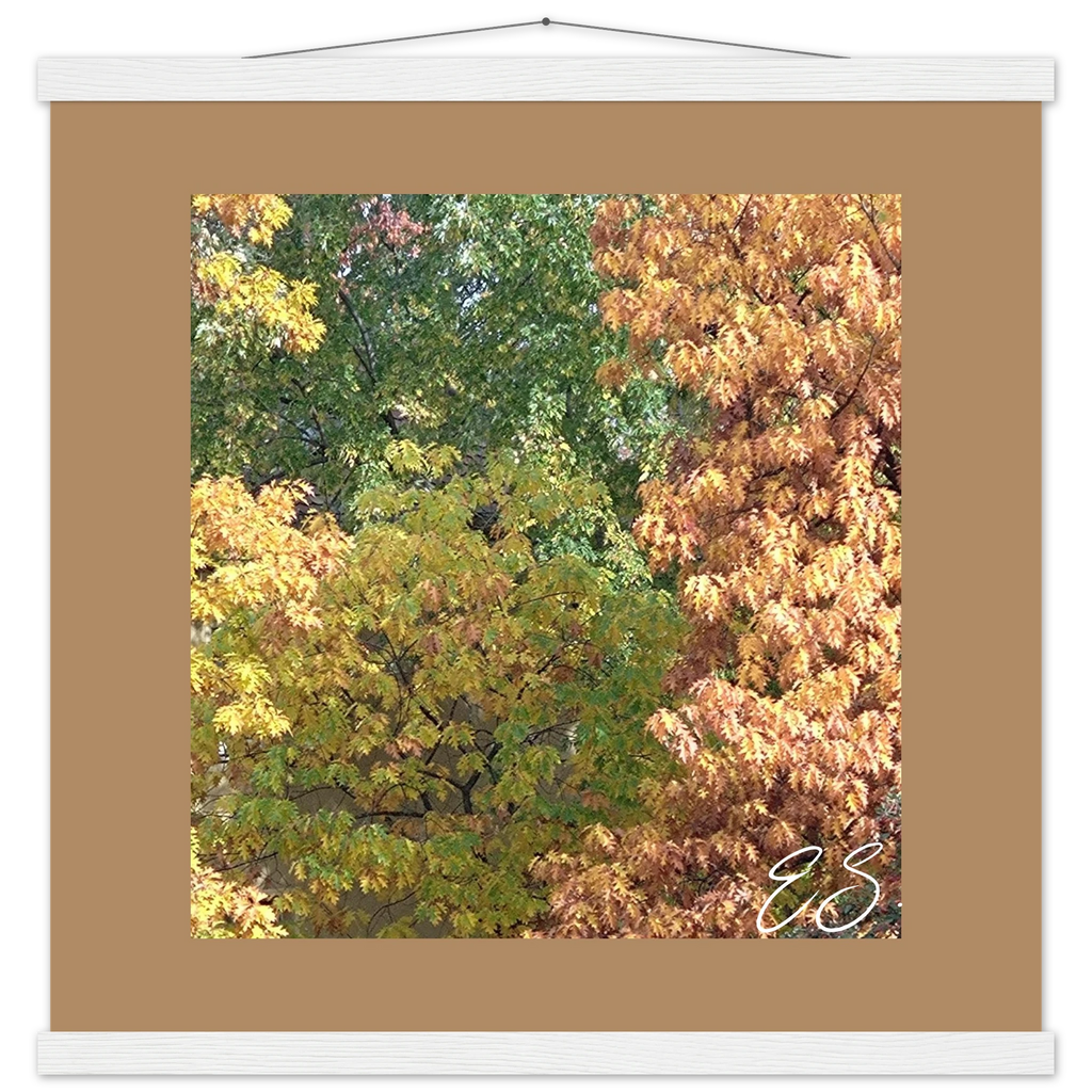 7ba80e21-9b79-494f-840b-9f256bb450ca