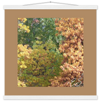 7ba80e21-9b79-494f-840b-9f256bb450ca