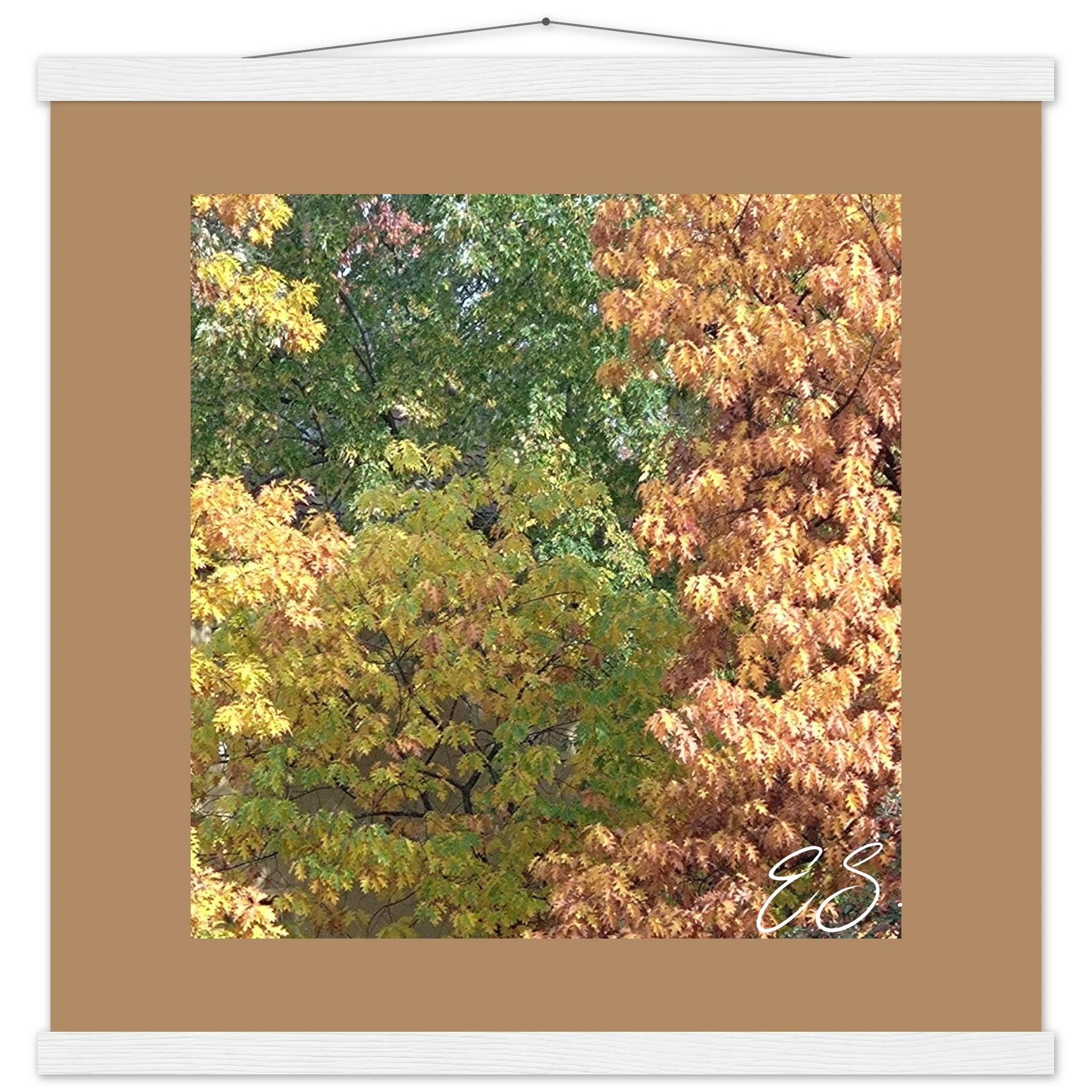 7ba80e21-9b79-494f-840b-9f256bb450ca