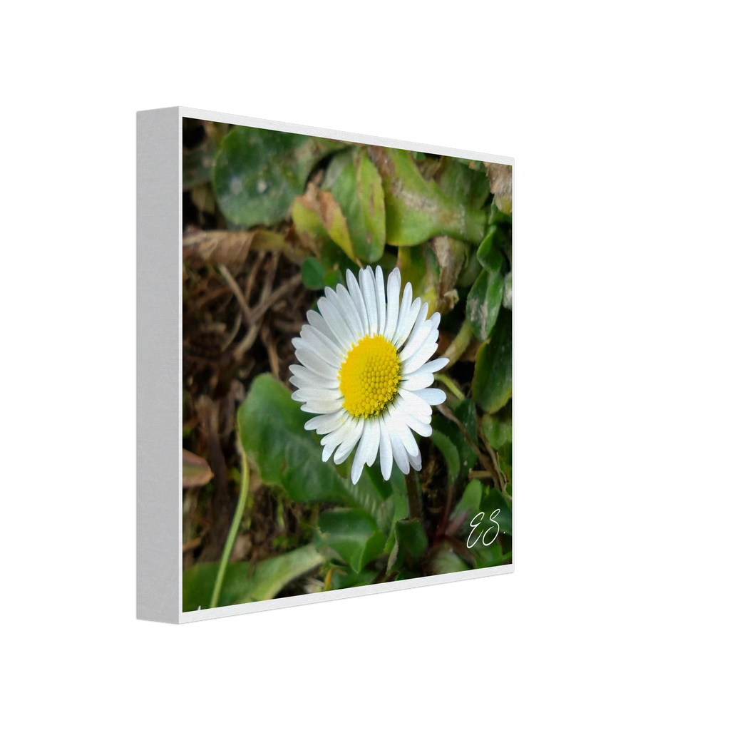 8ccadd21-c404-4e7a-a858-30c7f2e26a39