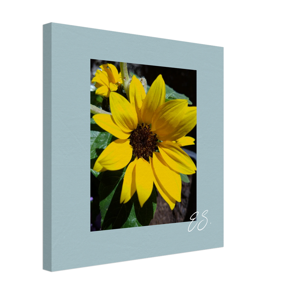 9697b8e0-a25f-4e32-b609-f32fd2553ae4