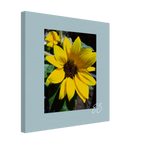 9697b8e0-a25f-4e32-b609-f32fd2553ae4