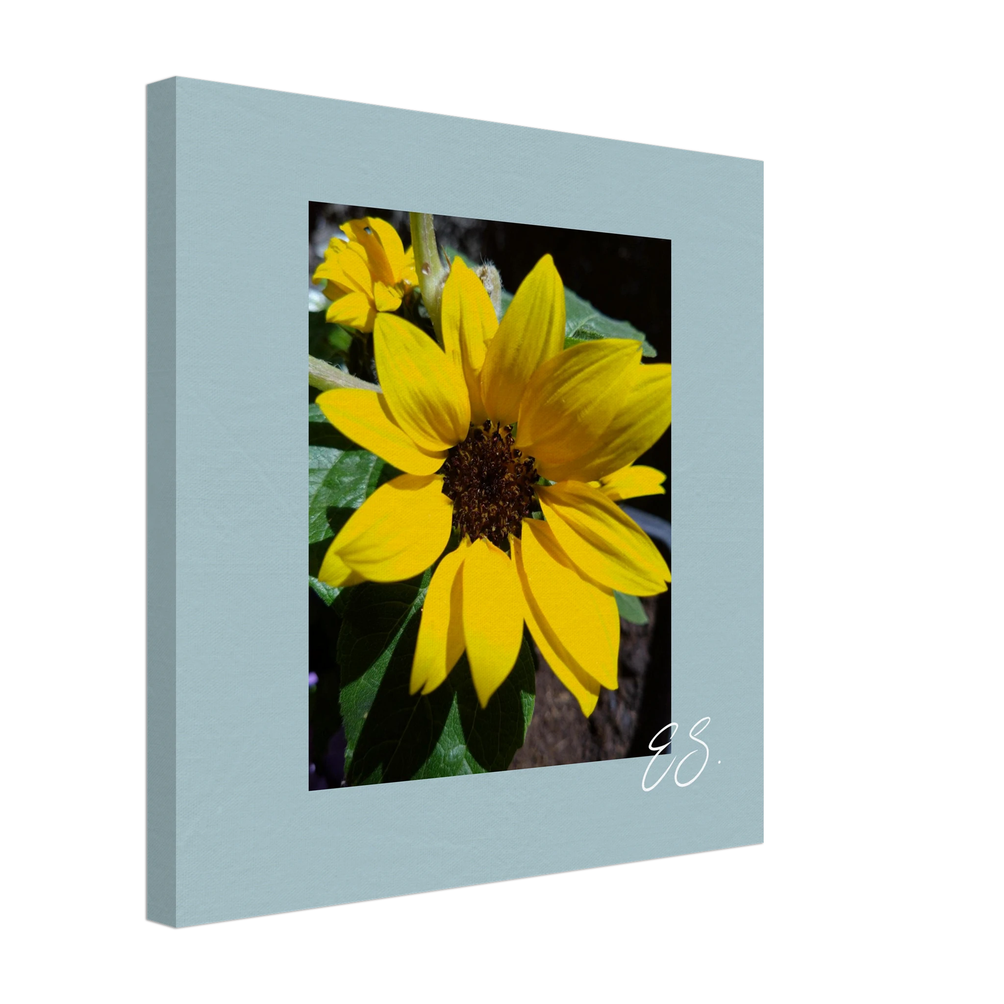 9697b8e0-a25f-4e32-b609-f32fd2553ae4