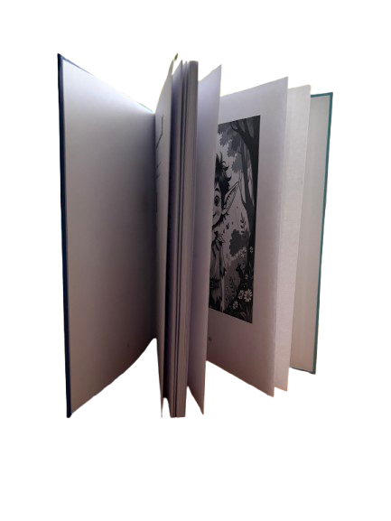 Mein Grundschulen Freunde Buch Elfenjunge