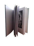 Mein Grundschulen Freunde Buch Elfenjunge