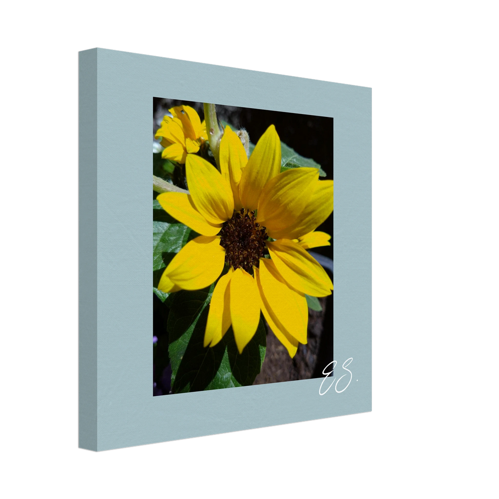 cc0a4f2d-9c72-4935-9f0f-64a50807c9d4