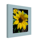 cc0a4f2d-9c72-4935-9f0f-64a50807c9d4