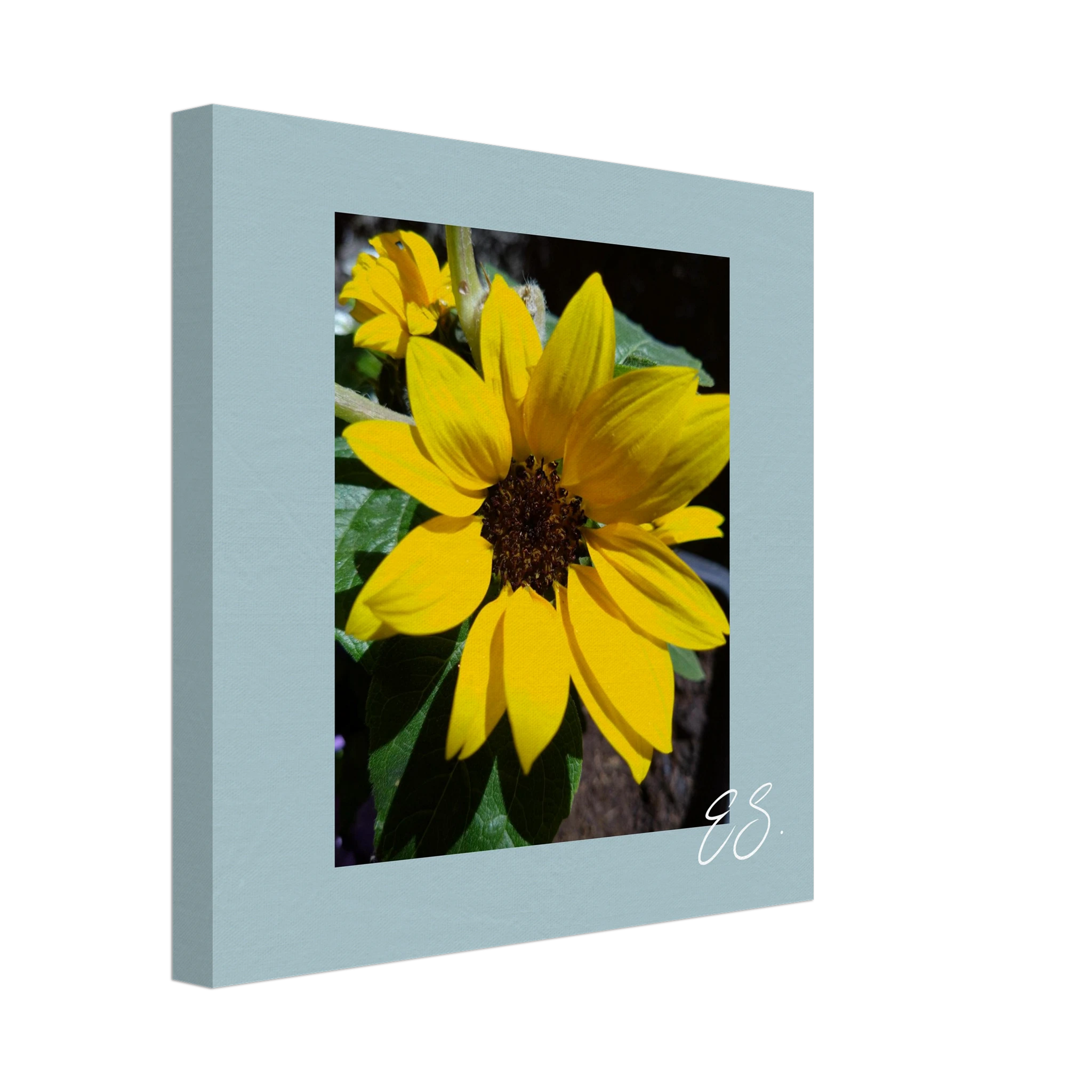 cc0a4f2d-9c72-4935-9f0f-64a50807c9d4