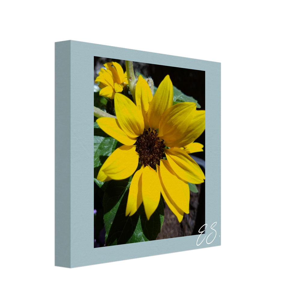 fd2af79c-b96e-4499-a2ee-5a8fc67c3ced