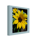 fd2af79c-b96e-4499-a2ee-5a8fc67c3ced