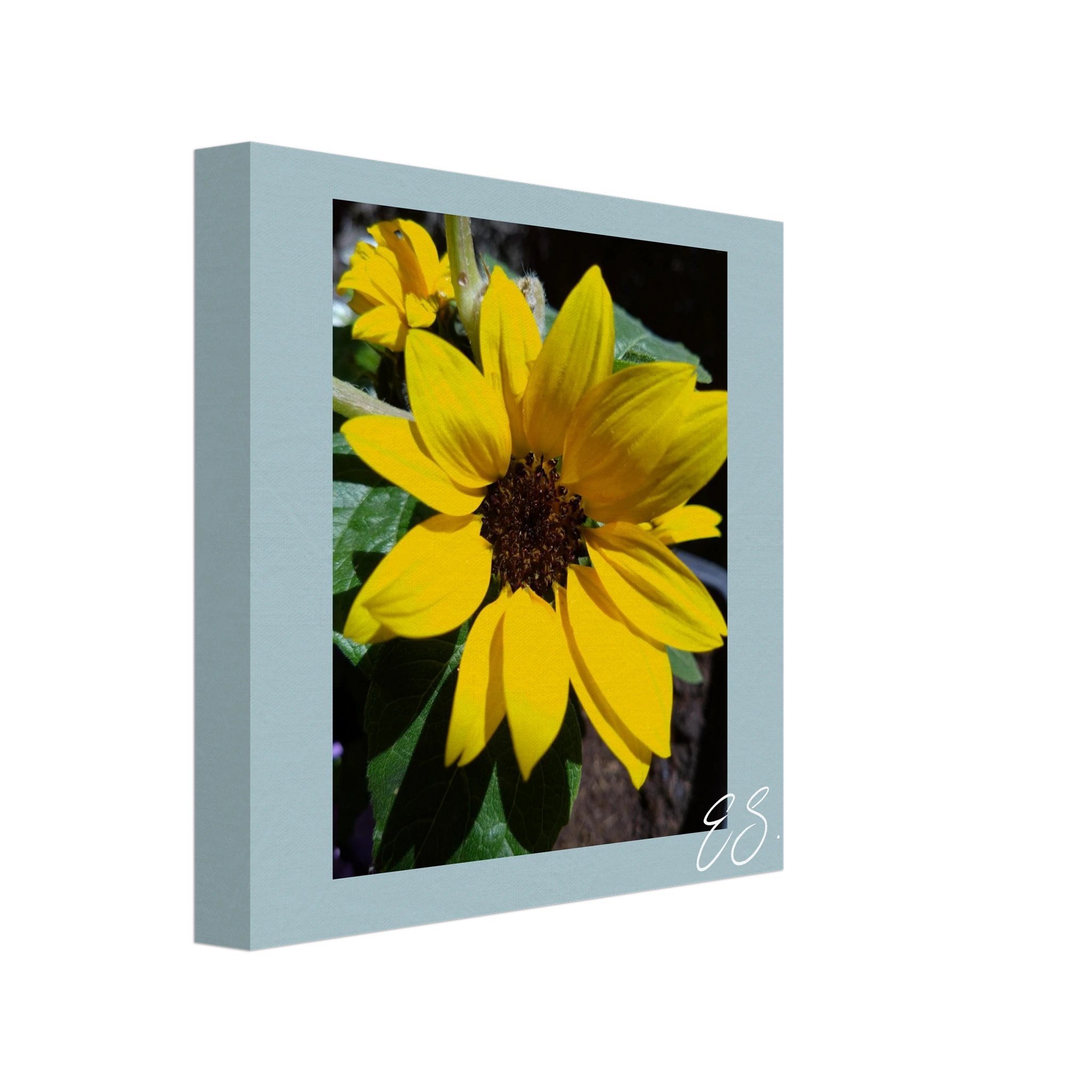 fd2af79c-b96e-4499-a2ee-5a8fc67c3ced